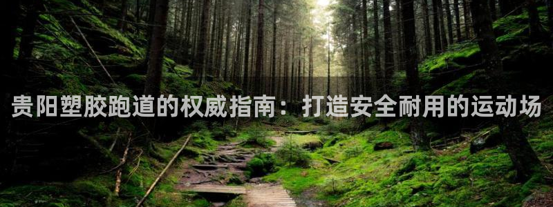 百度红足一1视频在线观看：贵阳塑胶跑道的权威指南：打造安全耐用的运动场