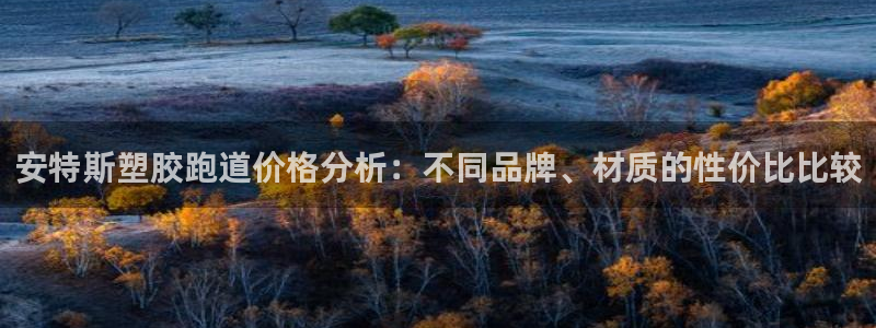 红足1世足球网址大全：安特斯塑胶跑道价格分析：不同品牌、材质的性价比比较