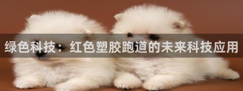 百度红足一1视频在线观看：绿色科技：红色塑胶跑道的未来科技应用