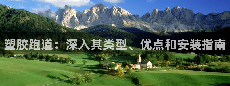 红足1世1站2站管理网：塑胶跑道：深入其类型、优点和安装指南
