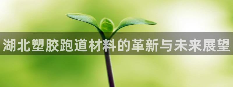 红足1一世 2站：湖北塑胶跑道材料的革新与未来展望