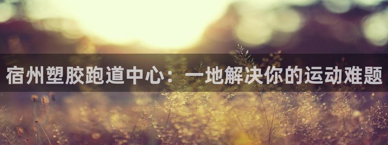 红足一1世手机皇冠：宿州塑胶跑道中心：一地解决你的运动难题
