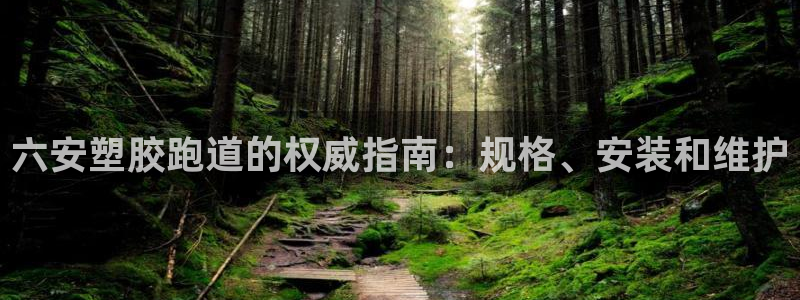 红足一比分网:六安塑胶跑道的权威指南:规格、安装和维护