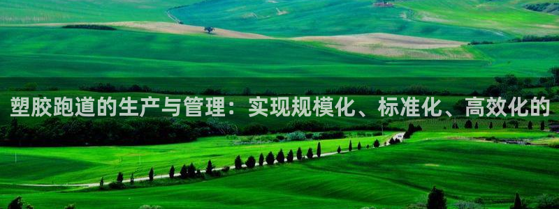 红足一丰：塑胶跑道的生产与管理：实现规模化、标准化、高效化的