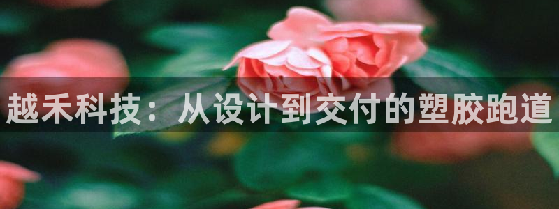 红足1世1站:越禾科技:从设计到交付的塑胶跑道