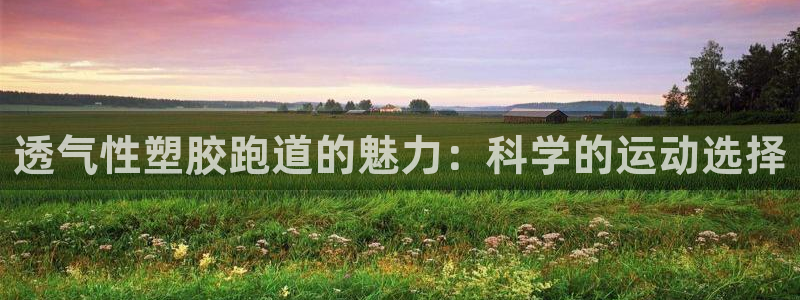 红足一1世：透气性塑胶跑道的魅力：科学的运动选择