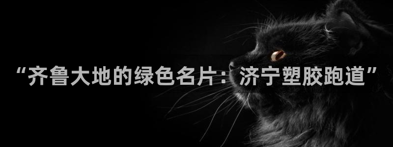 红足一1世皇冠地址：“齐鲁大地的绿色名片：济宁塑胶跑道”