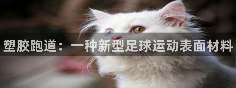 红足i世足球手机网：塑胶跑道：一种新型足球运动表面材料