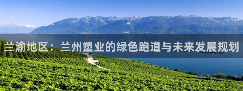 百度红足一1使用说明：兰渝地区：兰州塑业的绿色跑道与未来发展规划