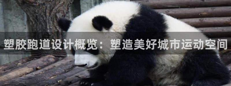 66814红足一66814世：塑胶跑道设计概览：塑造美好城市运动空间