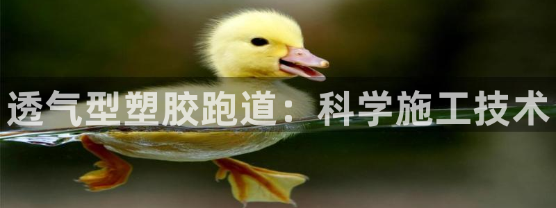 百度红足一1是干什么的:透气型塑胶跑道:科学施工技术