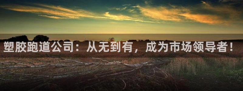 百度红足一1是干什么的：塑胶跑道公司：从无到有，成为市场领导者！