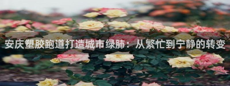 红足1世手机板：安庆塑胶跑道打造城市绿肺：从繁忙到宁静的转变