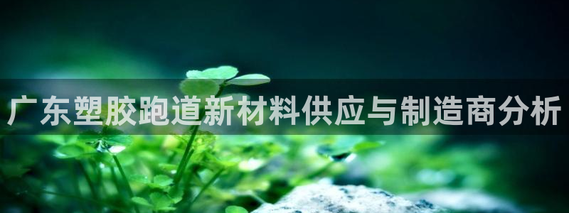 红姐现场直播开奖记录：广东塑胶跑道新材料供应与制造商分析