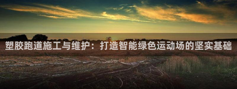 红足网足球直播：塑胶跑道施工与维护：打造智能绿色运动场的坚实基础