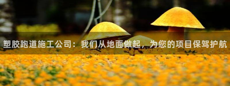 4633333开奖结果4176一点红：塑胶跑道施工公司：我们从地面做起，为您的项目保驾护航