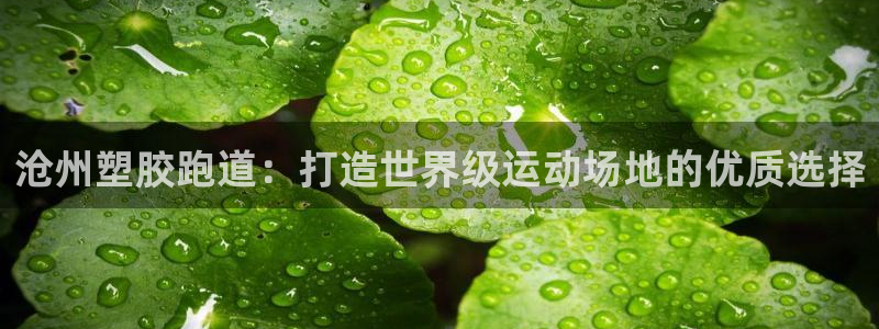 红足一1世即时比分：沧州塑胶跑道：打造世界级运动场地的优质选择