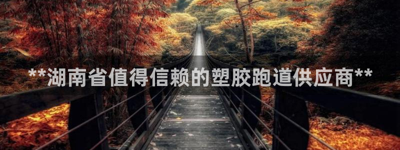 红足一1世77814：**湖南省值得信赖的塑胶跑道供应商**