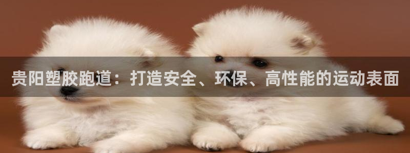 红足1一世：贵阳塑胶跑道：打造安全、环保、高性能的运动表面