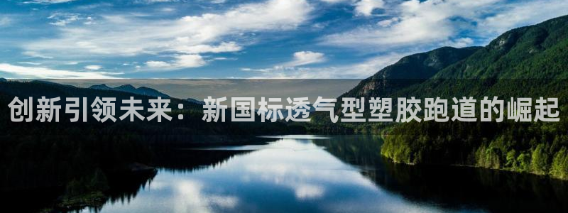 66814红足：创新引领未来：新国标透气型塑胶跑道的崛起