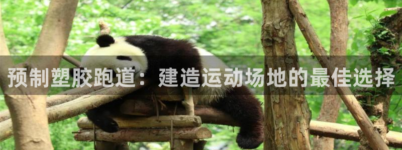 红足一1世比分网：预制塑胶跑道：建造运动场地的最佳选择