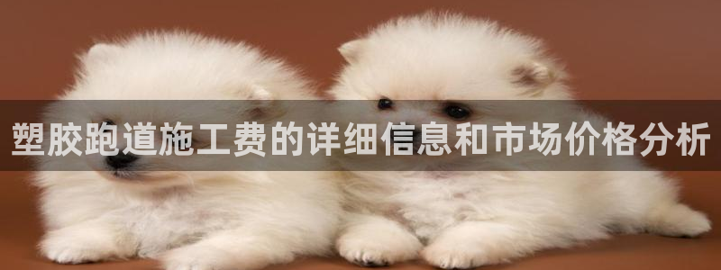 红足一1世官网足球推荐真人：塑胶跑道施工费的详细信息和市场价格分析