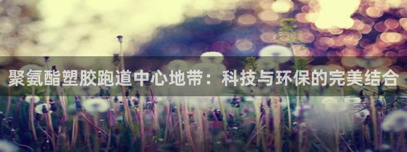 红足1世足球网址：聚氨酯塑胶跑道中心地带：科技与环保的完美结合