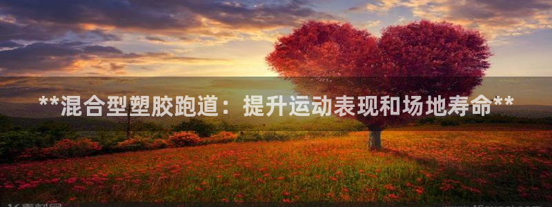 红足1世足球网址大全：**混合型塑胶跑道：提升运动表现和场地寿命**