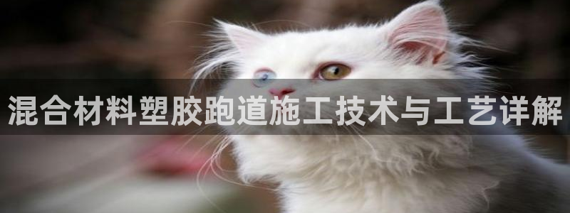 4633333开奖结果4176一点红：混合材料塑胶跑道施工技术与工艺详解