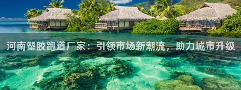 红足一1世：河南塑胶跑道厂家：引领市场新潮流，助力城市升级