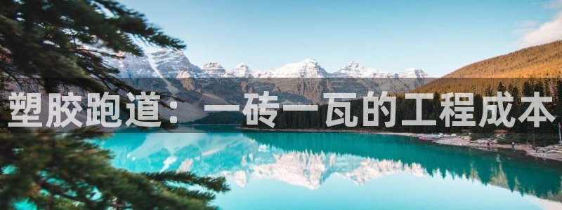 红足1世手机版下载：塑胶跑道：一砖一瓦的工程成本