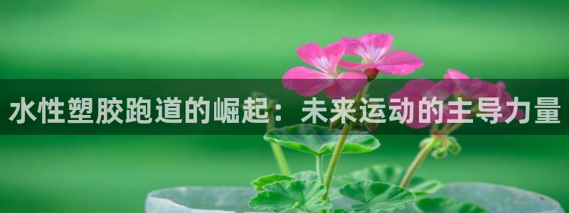 红足体育网：水性塑胶跑道的崛起：未来运动的主导力量