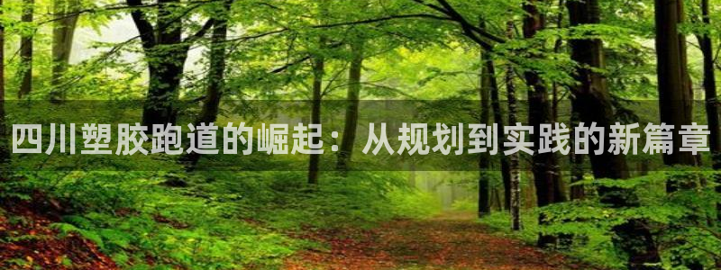333814红足1世：四川塑胶跑道的崛起：从规划到实践的新篇章