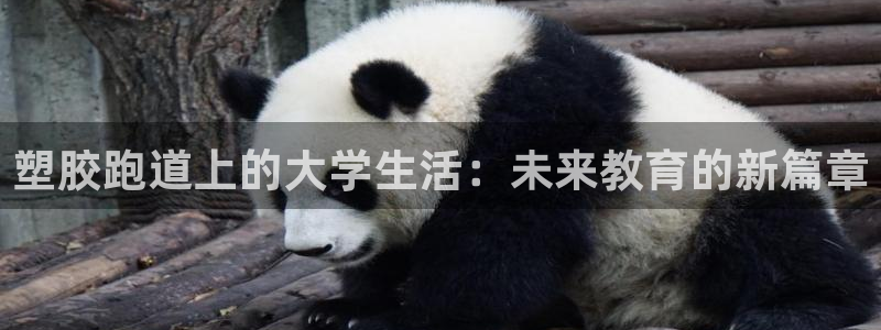 红足1世足球比分网址：塑胶跑道上的大学生活：未来教育的新篇章