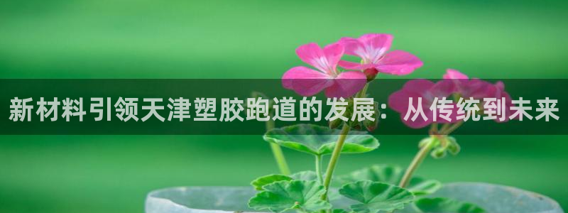 666814红·足一世比分：新材料引领天津塑胶跑道的发展：从传统到未来