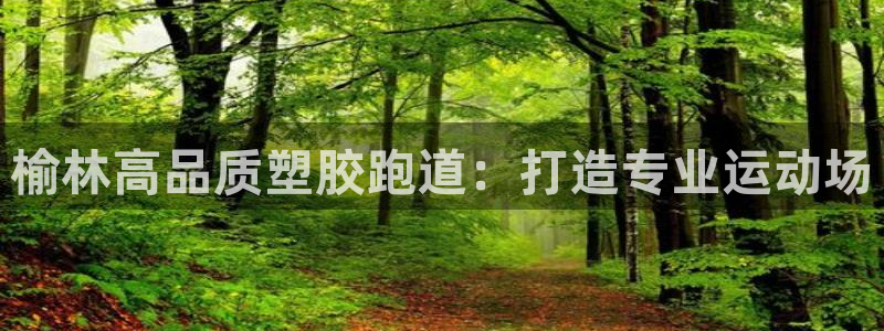 红足一1世比分球探:榆林高品质塑胶跑道:打造专业运动场