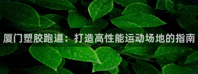红足一1世官网比分：厦门塑胶跑道：打造高性能运动场地的指南