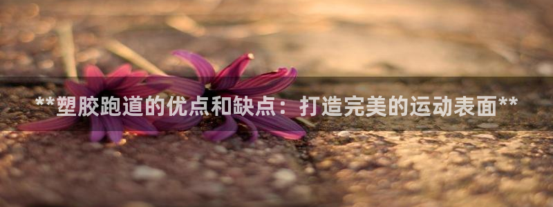 红足1世官网:**塑胶跑道的优点和缺点:打造完美的运动表面**