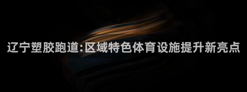 百度红足一1是干什么的：辽宁塑胶跑道:区域特色体育设施提升新亮点