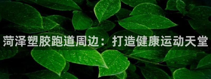 红足1世足球网址：菏泽塑胶跑道周边：打造健康运动天堂