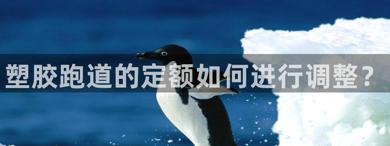 红足1世足球：塑胶跑道的定额如何进行调整？