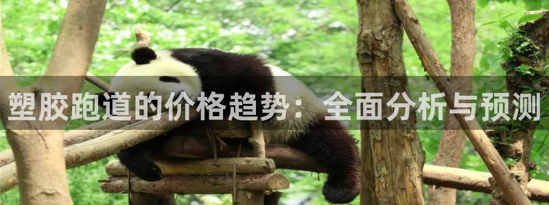 333814红·足一世比分：塑胶跑道的价格趋势：全面分析与预测