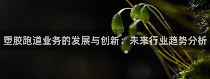 百度红足一1世：塑胶跑道业务的发展与创新：未来行业趋势分析