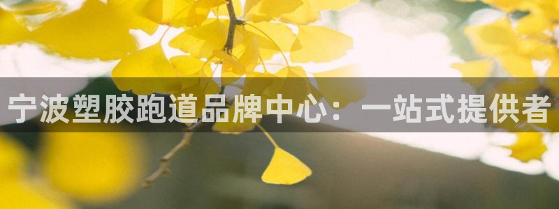 红足一1世开奖记录：宁波塑胶跑道品牌中心：一站式提供者