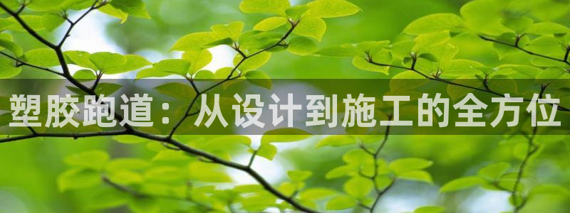 红足一1世手机版新皇冠：塑胶跑道：从设计到施工的全方位