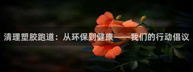 777814红·足一世：清理塑胶跑道：从环保到健康——我们的行动倡议