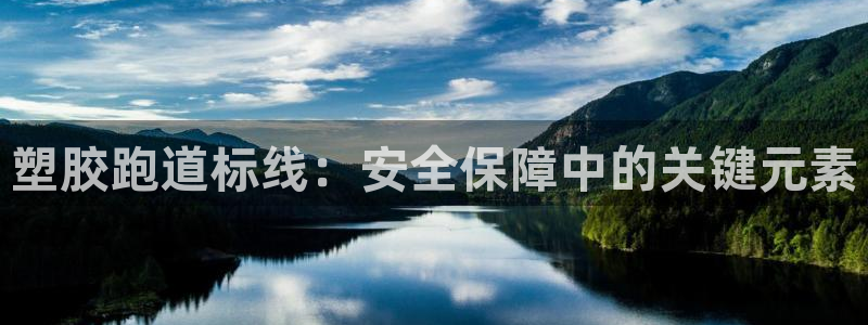 红足1世足球比分网址：塑胶跑道标线：安全保障中的关键元素