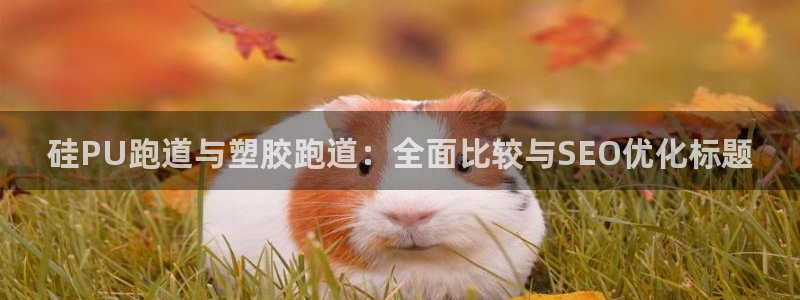 红足一：硅PU跑道与塑胶跑道：全面比较与SEO优化标题