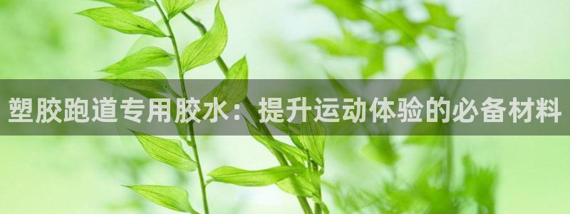 红足一：塑胶跑道专用胶水：提升运动体验的必备材料