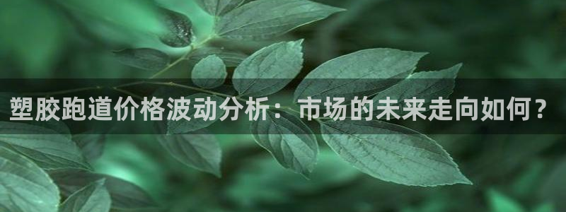 红足1世足球网址：塑胶跑道价格波动分析：市场的未来走向如何？